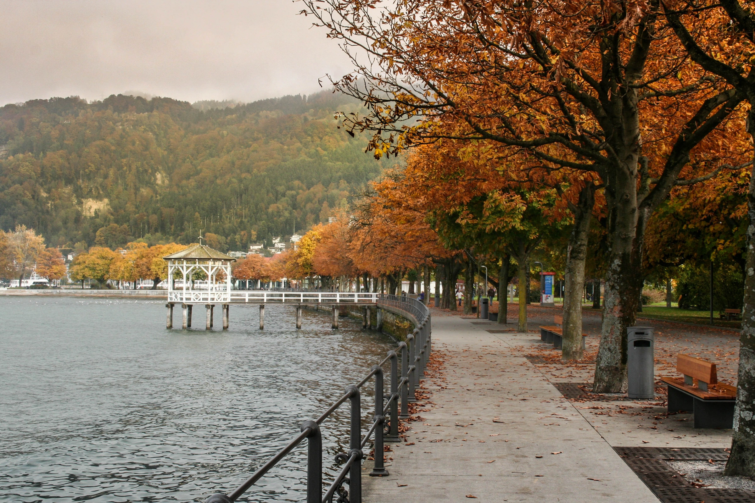 Bregenz[1].webp